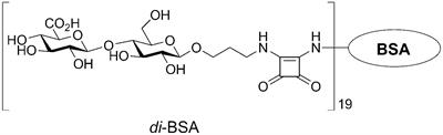 Synthetic BSA-conjugated disaccharide related to the Streptococcus pneumoniae serotype 3 capsular polysaccharide increases IL-17A Levels, γδ T cells, and B1 cells in mice